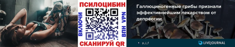 Псилоцибиновые грибы Magic Shrooms  Купить  Зуевка 